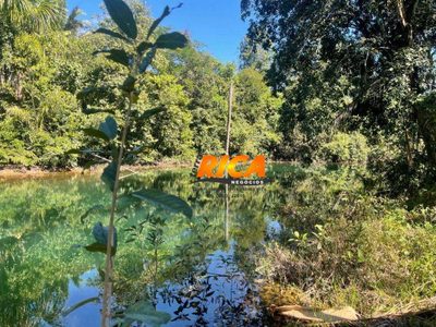 Fazenda, 100 hectares - Foto 2