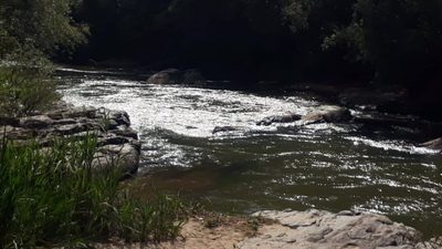 Fazenda, 505 hectares - Foto 3
