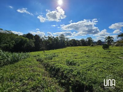 Chácara, 10000 m² - Foto 5
