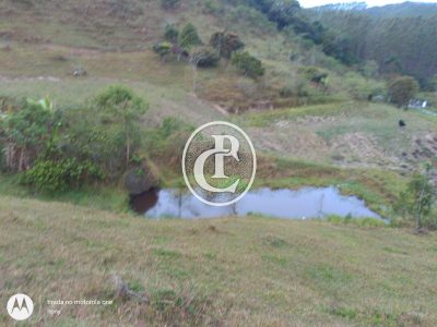 Fazenda, 73 hectares - Foto 4