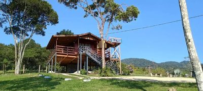 Fazenda, 4 hectares - Foto 4