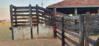 Sítio, 16 hectares - Foto 5