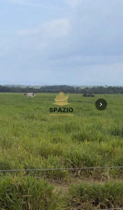 Fazenda, 1462 m² - Foto 3