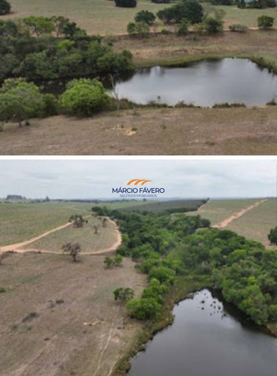 Fazenda, 501 hectares - Foto 5