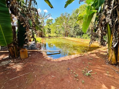 Fazenda, 4 hectares - Foto 5