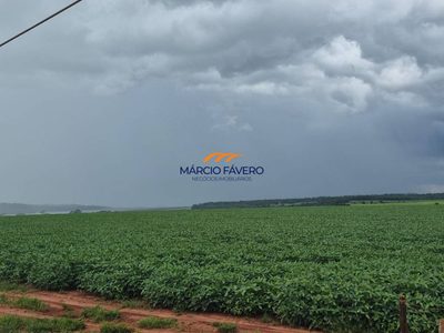 Fazenda, 837 hectares - Foto 1