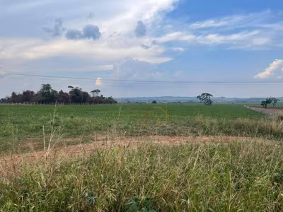 Terreno, 5 hectares - Foto 1