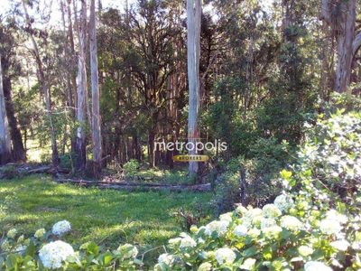 Terreno, 89 hectares - Foto 4