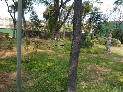 Terreno, 5500 m² - Foto 3