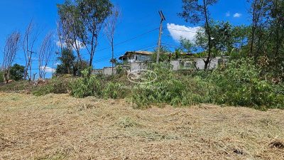 Terreno, 1608 m² - Foto 3