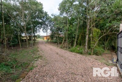 Chácara, 4 quartos, 6649 m² - Foto 4