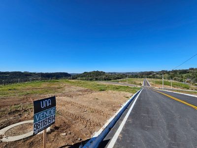 Terreno, 4 hectares - Foto 4