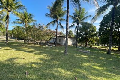 Terreno, 1 hectares - Foto 3