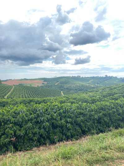 Chácara, 1 quarto, 166 hectares - Foto 1