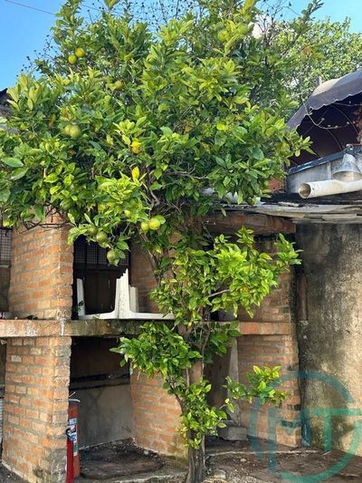 Loteamento e Condomínio, 350 m² - Foto 2