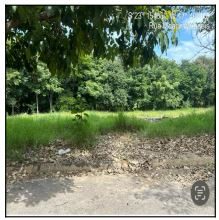 Terreno - Foto 1