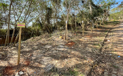 Terreno, 728 m² - Foto 5