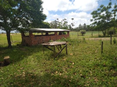 Sítio, 2 quartos, 7000 m² - Foto 5