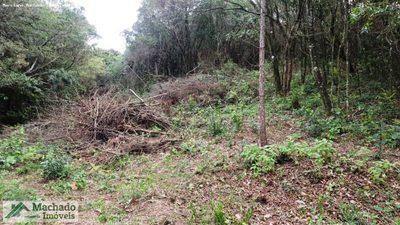 Terreno, 2 hectares - Foto 2