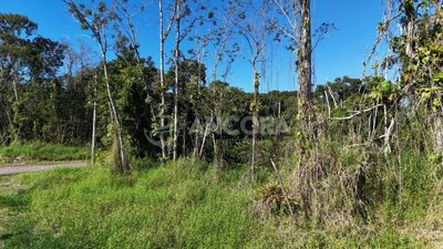 Terreno, 375 m² - Foto 3