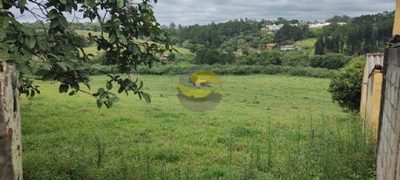 Terreno, 3 hectares - Foto 3