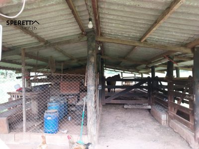 Chácara, 3 quartos - Foto 5