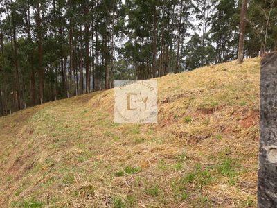 Terreno, 4000 m² - Foto 4