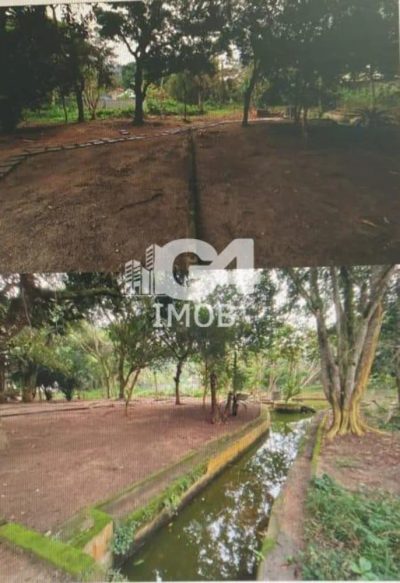 Sítio, 4 quartos, 6000 m² - Foto 3