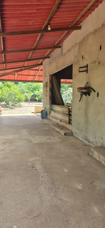 Sítio, 1 quarto, 80 m² - Foto 2
