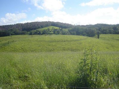 Terreno, 19 hectares - Foto 3