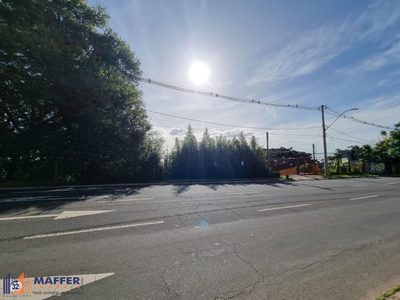 Terreno, 564 m² - Foto 3