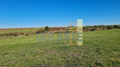 Fazenda, 244 hectares - Foto 2