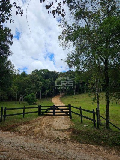 Chácara, 2 hectares - Foto 3