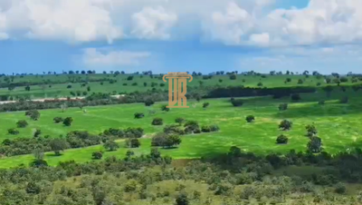 Fazenda, 7500 m² - Foto 5