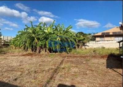 Terreno, 1533 m² - Foto 3