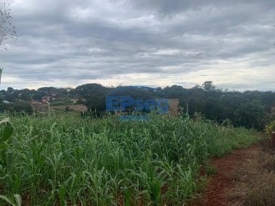 Terreno, 9000 m² - Foto 5