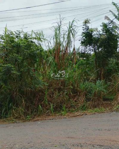Terreno, 450 m² - Foto 3