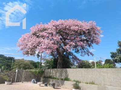 Casa, 3 quartos, 180 m² - Foto 4
