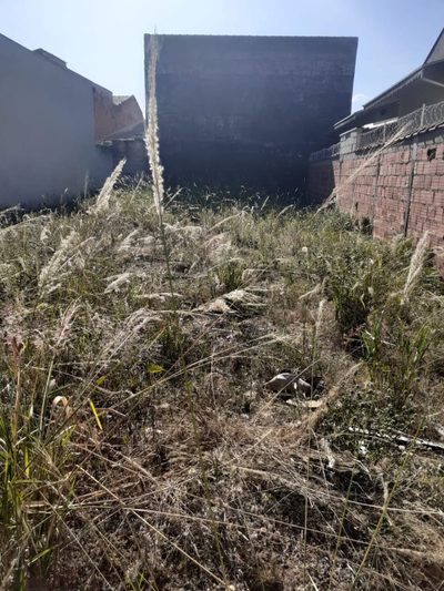 Terreno, 250 m² - Foto 4
