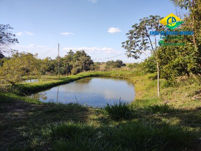 Chácara, 4 quartos - Foto 3