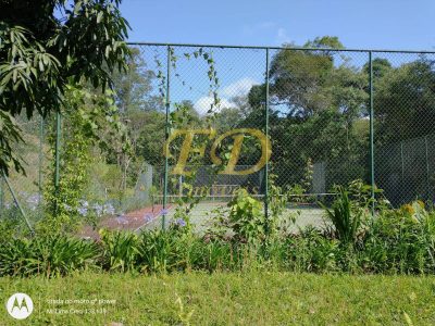 Terreno, 5000 m² - Foto 5