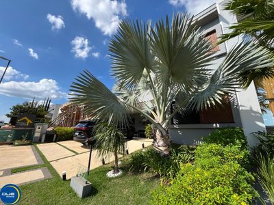 Sobrado, 4 quartos, 333 m² - Foto 4