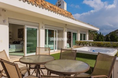 Casa, 3 quartos, 590 m² - Foto 4