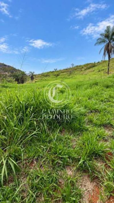 Terreno, 88000 m² - Foto 3