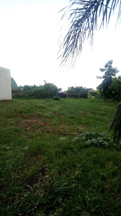 Terreno, 648 m² - Foto 4