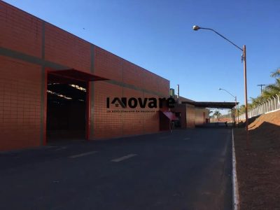 Depósito-Galpão - Foto 3