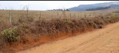 Fazenda, 21 hectares - Foto 2