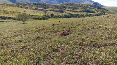 Terreno, 200 m² - Foto 3