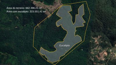 Sítio, 66 hectares - Foto 1