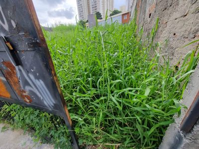 Terreno, 827 m² - Foto 3